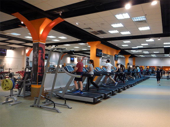 Gym Interior Business Owner Policy